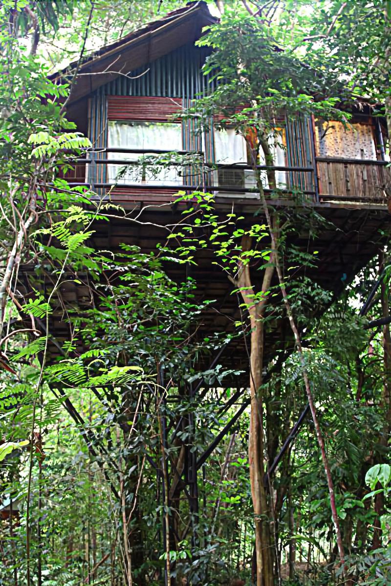 Khaosok Treehouse Resort - Genel