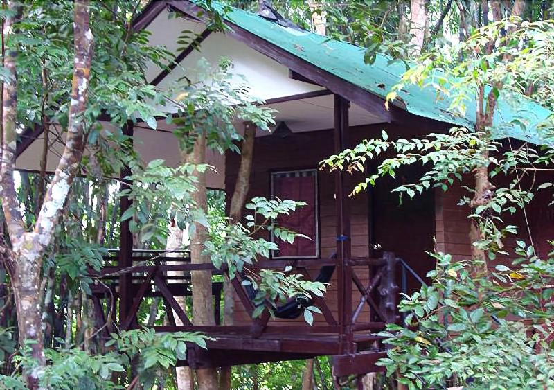 Khaosok Treehouse Resort - Genel