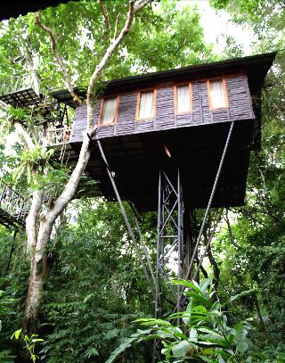 Khaosok Treehouse Resort fotoÄŸrafÄ±