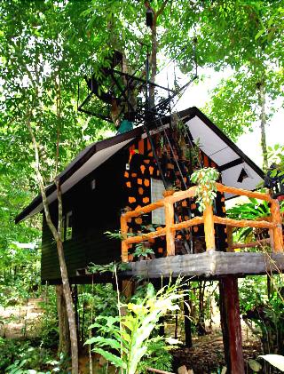 Khaosok Treehouse Resort fotoÄŸrafÄ±