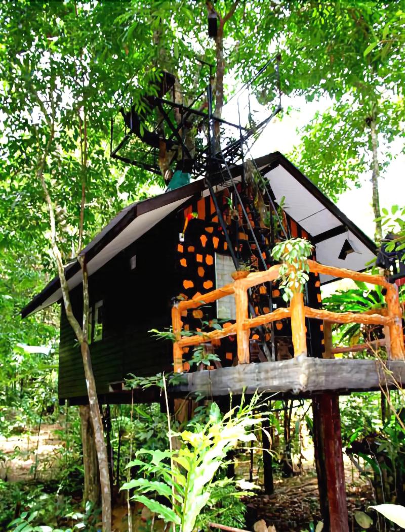 Khaosok Treehouse Resort - Genel