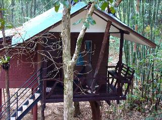 Khaosok Treehouse Resort fotoÄŸrafÄ±