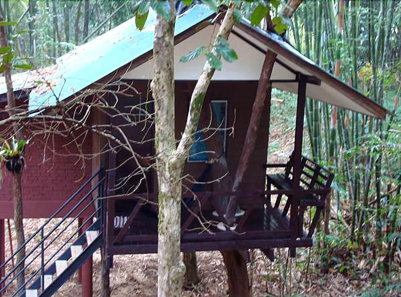 Khaosok Treehouse Resort - Genel