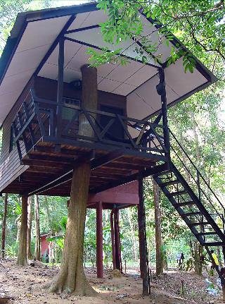 Khaosok Treehouse Resort fotoÄŸrafÄ±