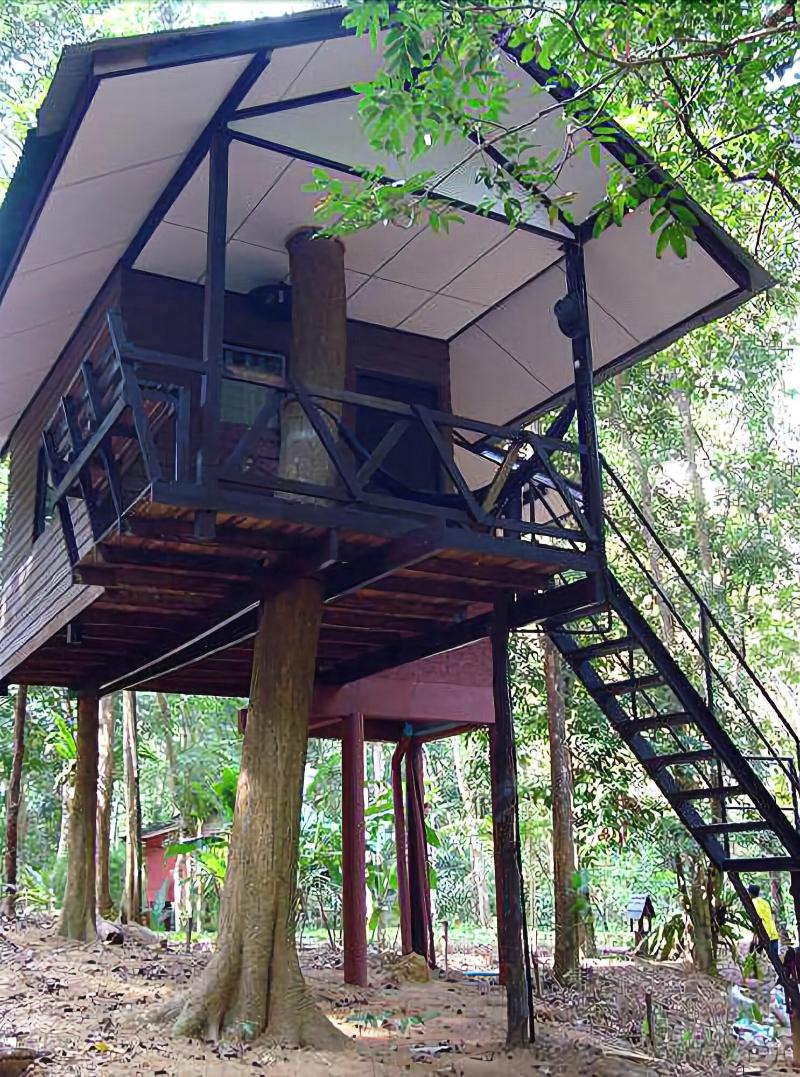 Khaosok Treehouse Resort - Genel