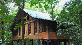 Khaosok Treehouse Resort fotoÄŸrafÄ±