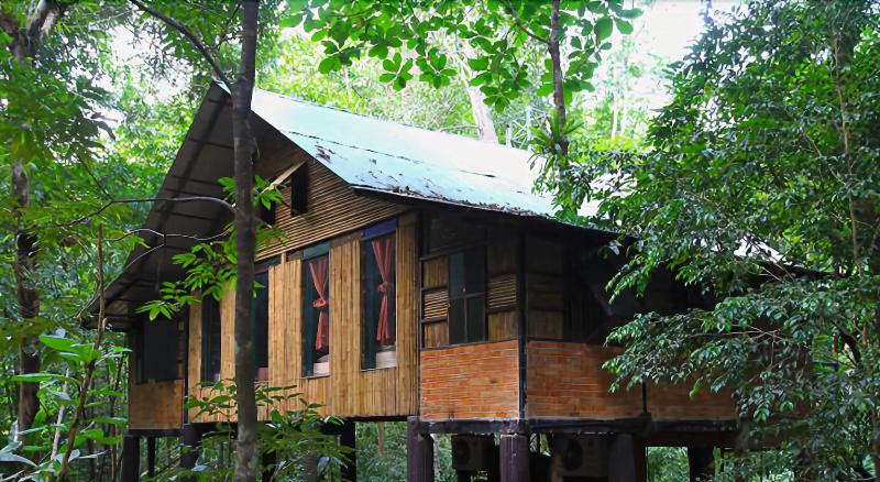 Khaosok Treehouse Resort - Genel
