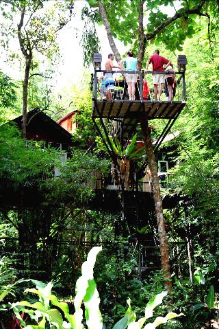 Khaosok Treehouse Resort fotoÄŸrafÄ±