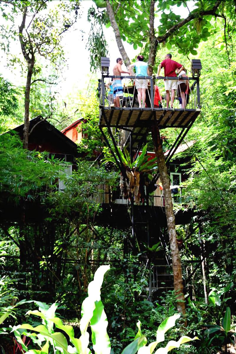 Khaosok Treehouse Resort - Genel