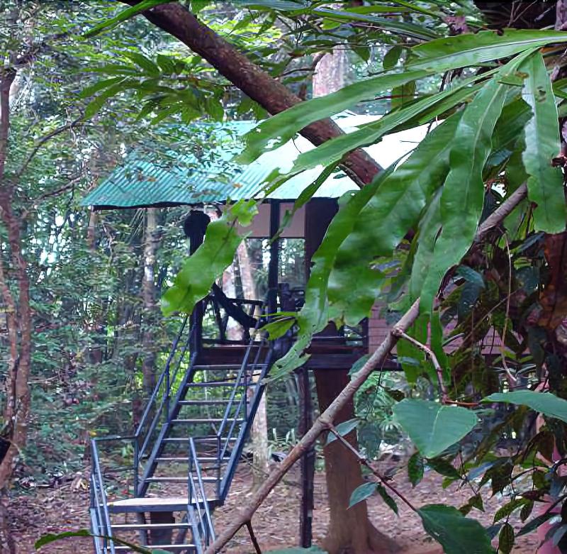 Khaosok Treehouse Resort - Genel