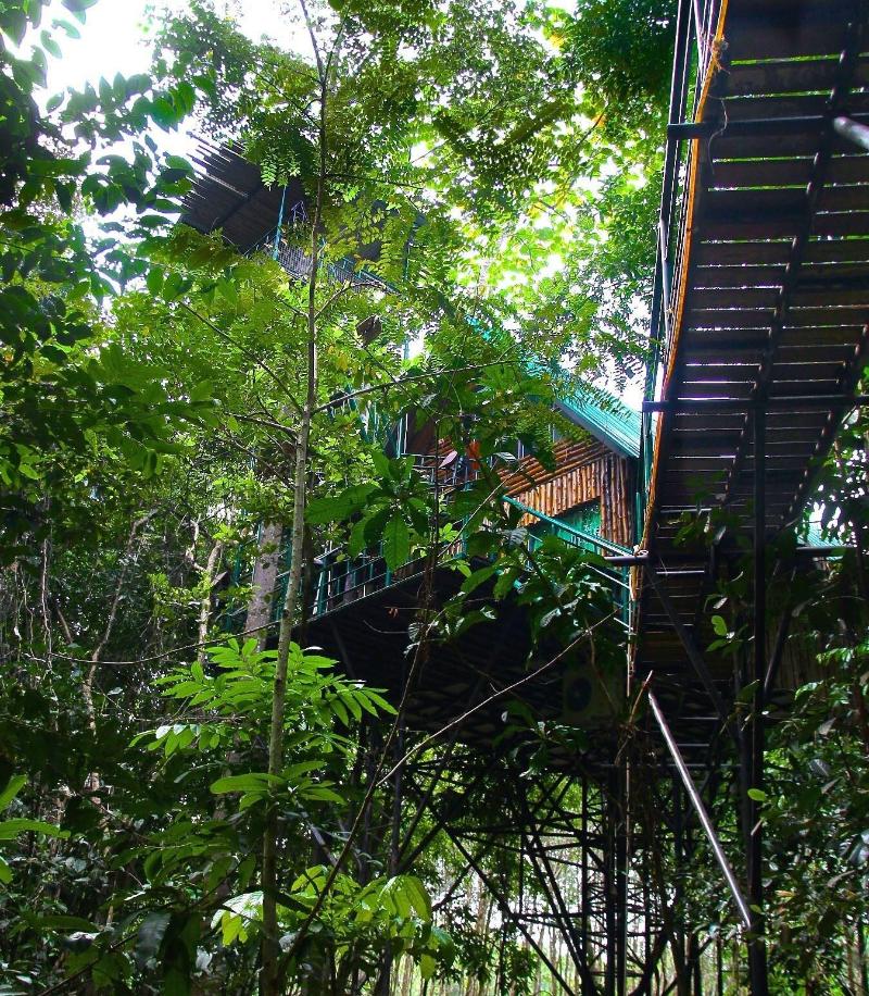 Khaosok Treehouse Resort - Genel