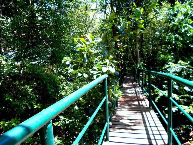 Khaosok Treehouse Resort - Genel
