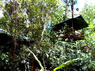 Khaosok Treehouse Resort fotoÄŸrafÄ±