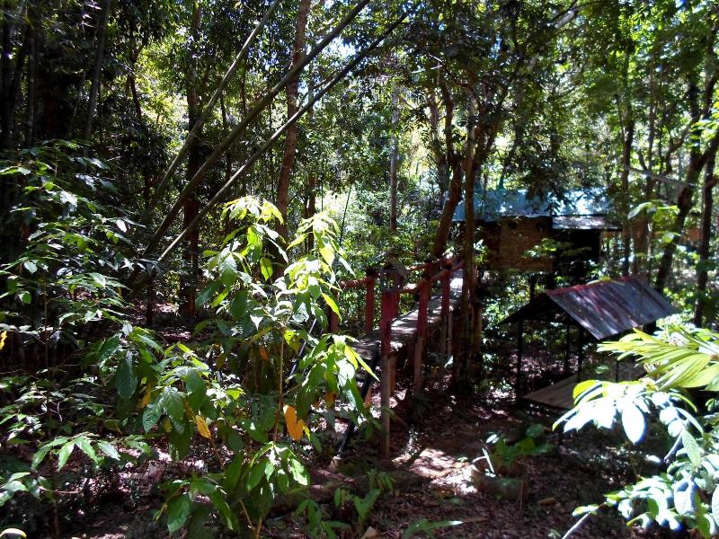 Khaosok Treehouse Resort - Genel