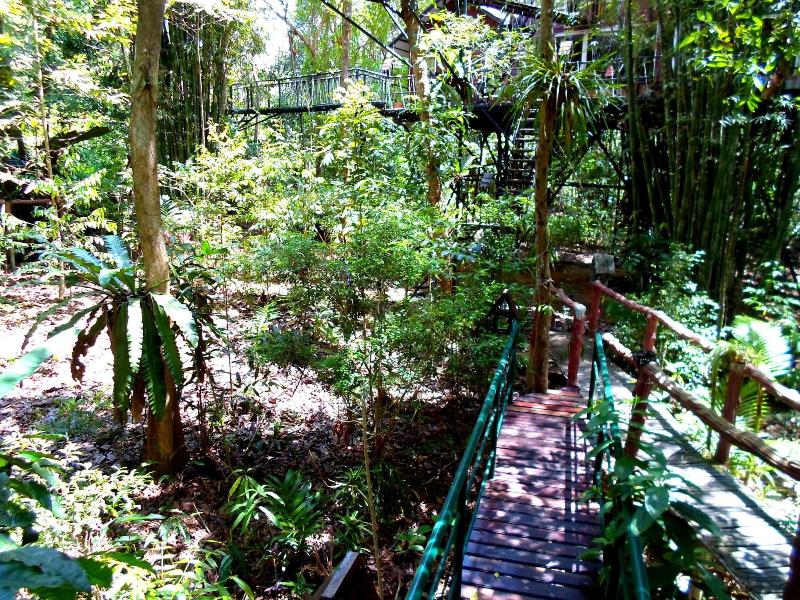 Khaosok Treehouse Resort - Genel