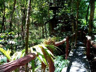 Khaosok Treehouse Resort fotoÄŸrafÄ±