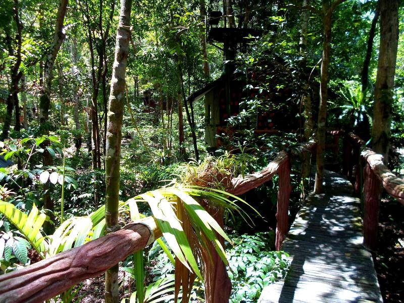 Khaosok Treehouse Resort - Genel
