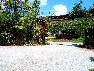 Khaosok Treehouse Resort fotoÄŸrafÄ±