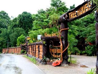Khaosok Treehouse Resort fotoÄŸrafÄ±