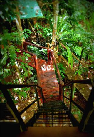Khaosok Treehouse Resort fotoÄŸrafÄ±