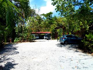 Khaosok Treehouse Resort fotoÄŸrafÄ±