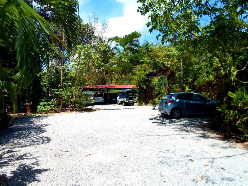 Khaosok Treehouse Resort - Genel