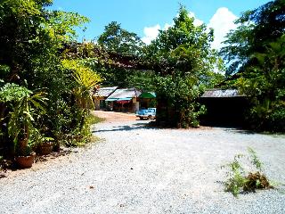 Khaosok Treehouse Resort fotoÄŸrafÄ±