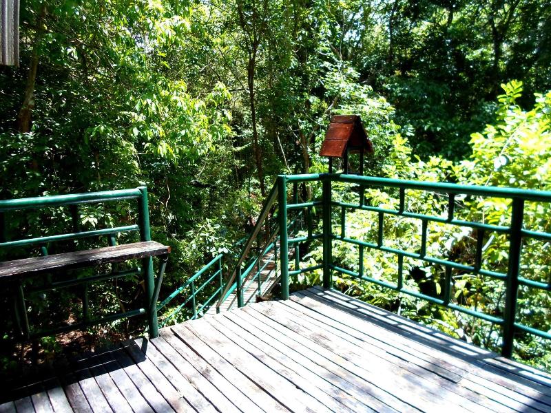 Khaosok Treehouse Resort - Genel