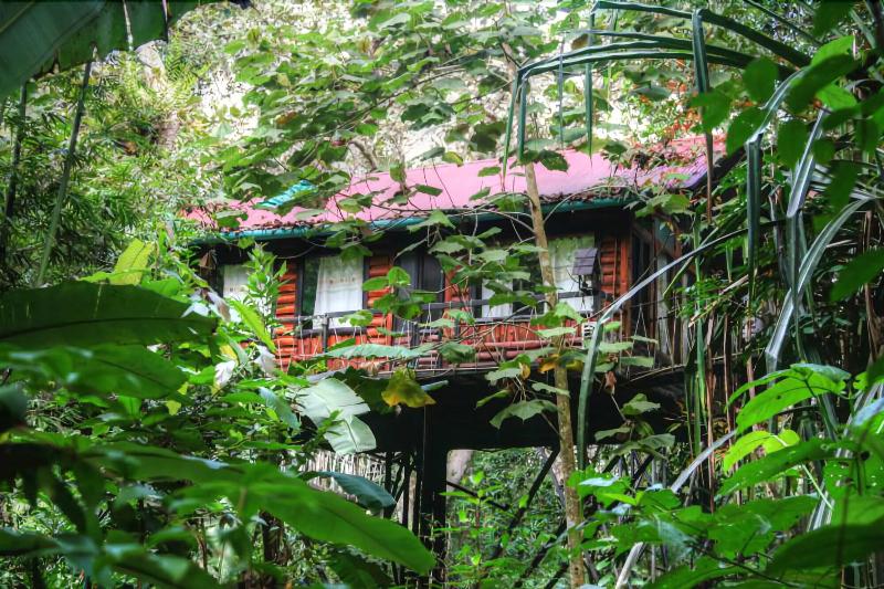Khaosok Treehouse Resort - Genel