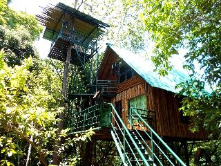 Khaosok Treehouse Resort fotoÄŸrafÄ±