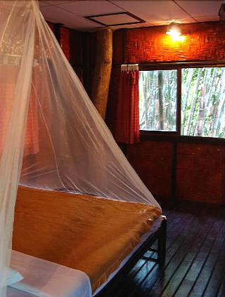 Khaosok Treehouse Resort fotoÄŸrafÄ±