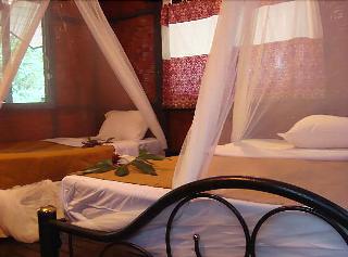 Khaosok Treehouse Resort fotoÄŸrafÄ±