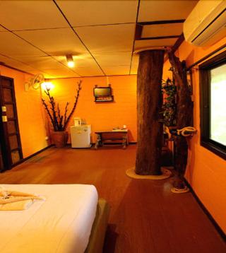 Khaosok Treehouse Resort fotoÄŸrafÄ±