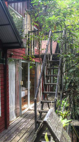 Khaosok Treehouse Resort fotoÄŸrafÄ±