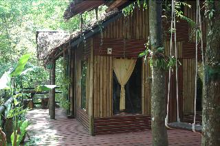 Khaosok Treehouse Resort fotoÄŸrafÄ±