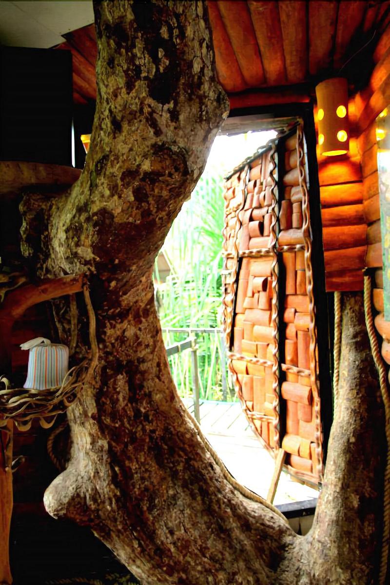 Khaosok Treehouse Resort - Oda