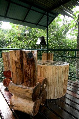 Khaosok Treehouse Resort fotoÄŸrafÄ±