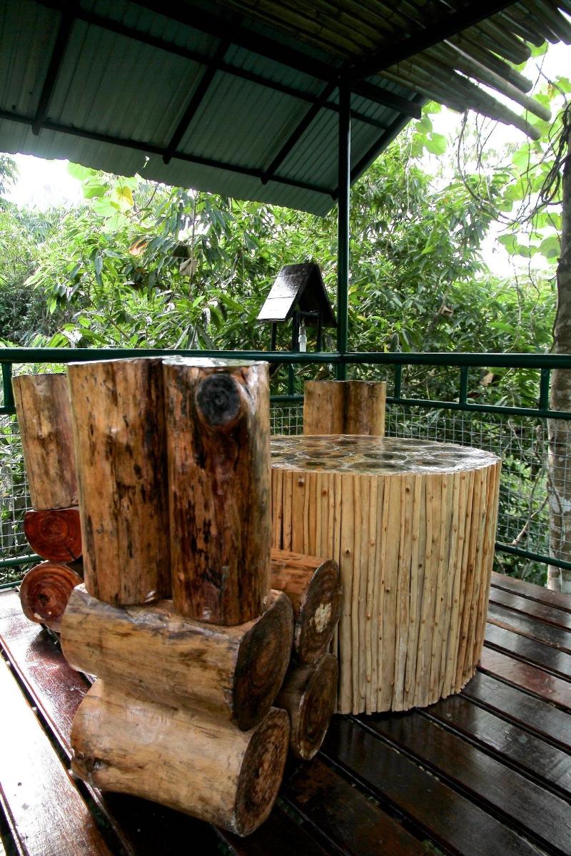 Khaosok Treehouse Resort - Teras