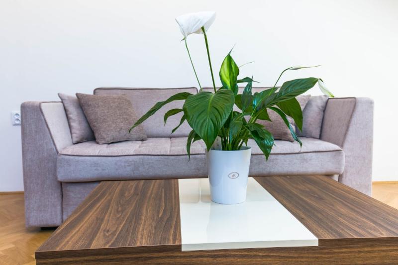 Letna Garden Suites - Oda