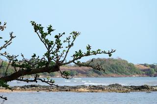 Plub Pla Koh Mak Retreat fotoÄŸrafÄ±