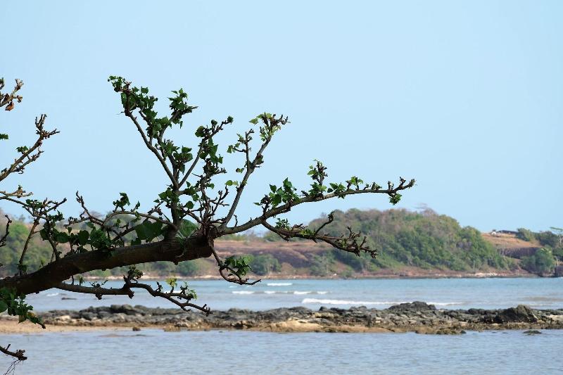 Plub Pla Koh Mak Retreat - Genel