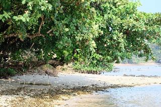 Plub Pla Koh Mak Retreat fotoÄŸrafÄ±