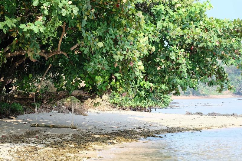Plub Pla Koh Mak Retreat - Genel