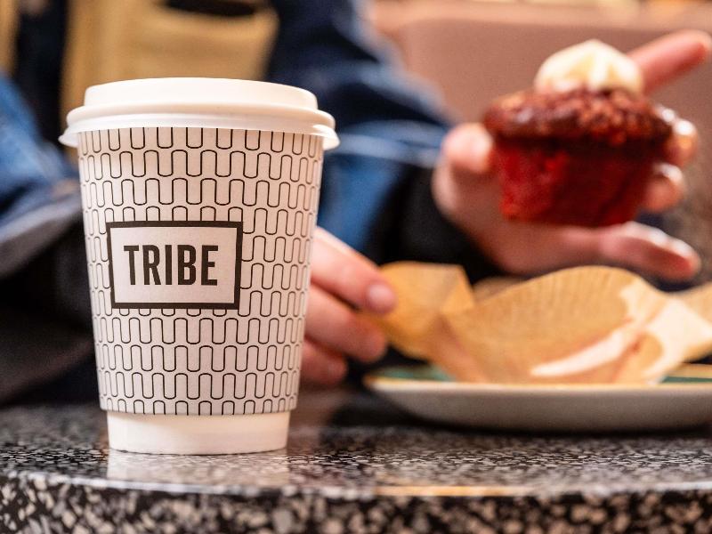 Tribe Dusseldorf - Genel