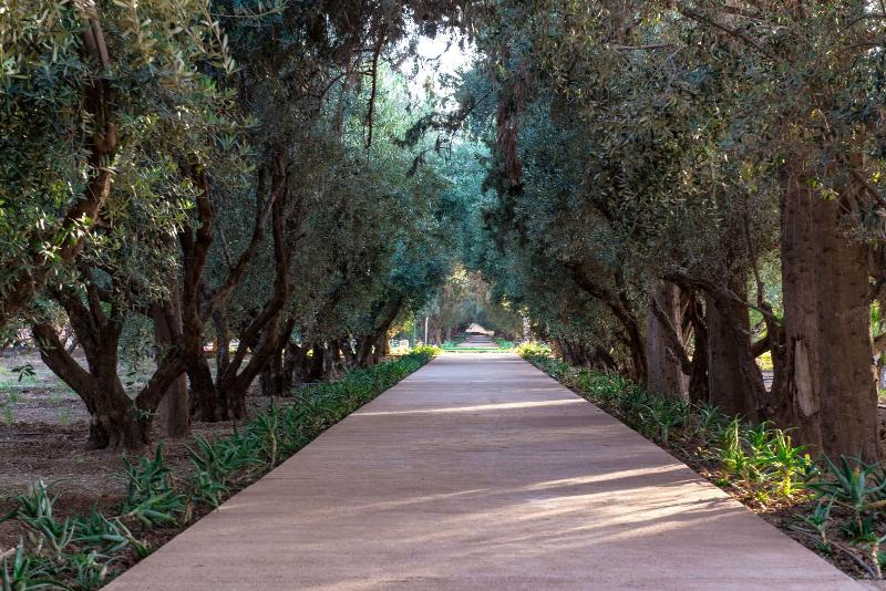 The Oberoi Marrakech - Teras