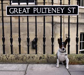 No 15 Great Pulteney fotoÄŸrafÄ±