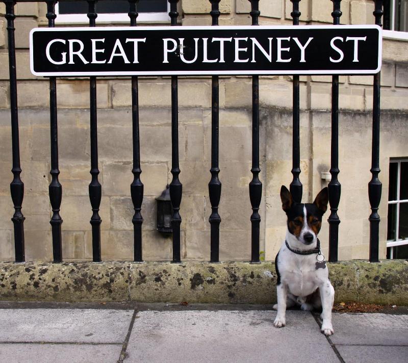 No 15 Great Pulteney - Oda