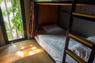 Comfy Bed Hostel fotoÄŸrafÄ±