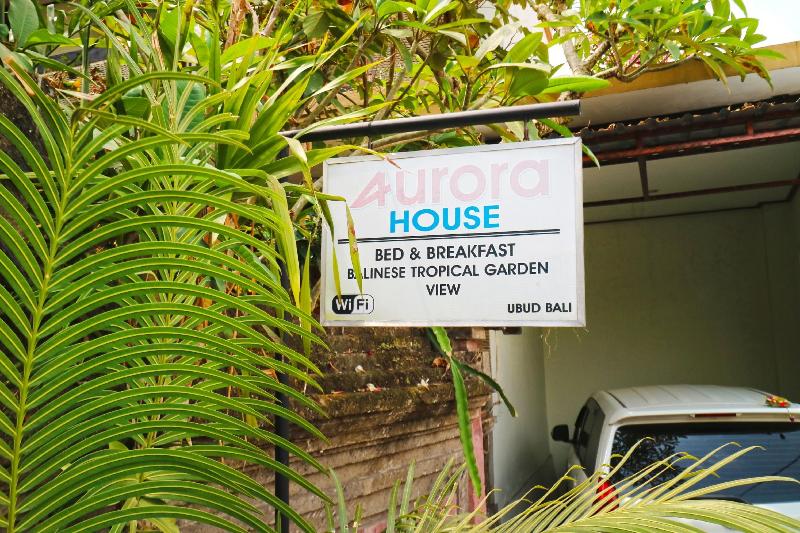 Aurora House Ubud - Genel