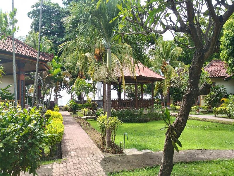 Lovina Beach Hotel - Genel